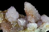Cactus Quartz (Amethyst) Crystal Cluster - South Africa #132525-1
